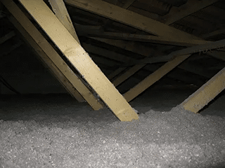 texte_alternatif_a_limage